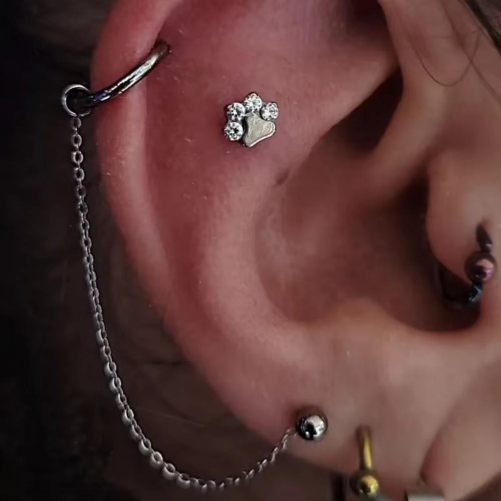 Титановая цепочка для носа, тр – обзор и цена Body Jewelry Ear